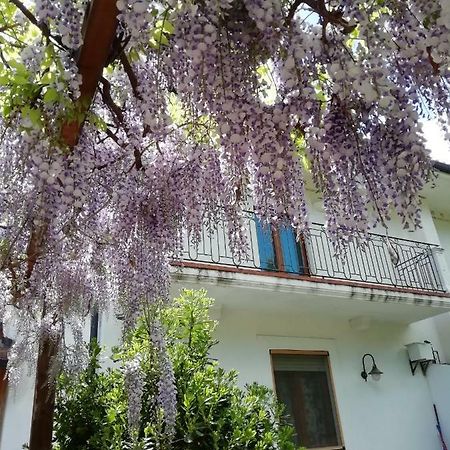 Villa Biancofiore Σαν Τζιοβάνι Ροτόντο Εξωτερικό φωτογραφία