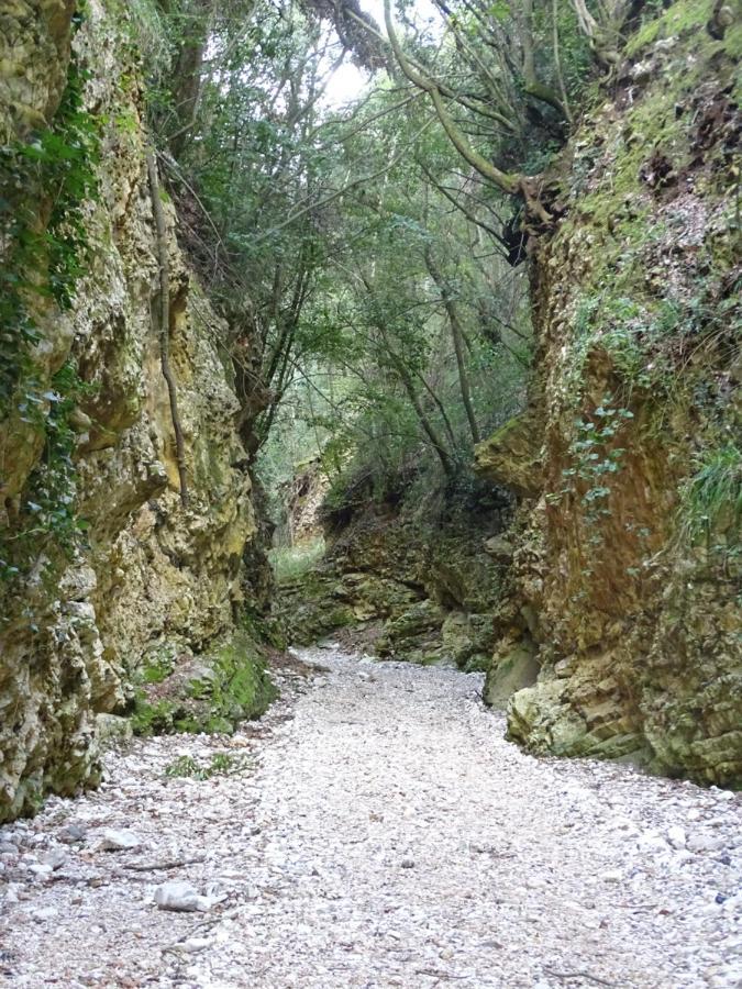 Villa Biancofiore Σαν Τζιοβάνι Ροτόντο Εξωτερικό φωτογραφία