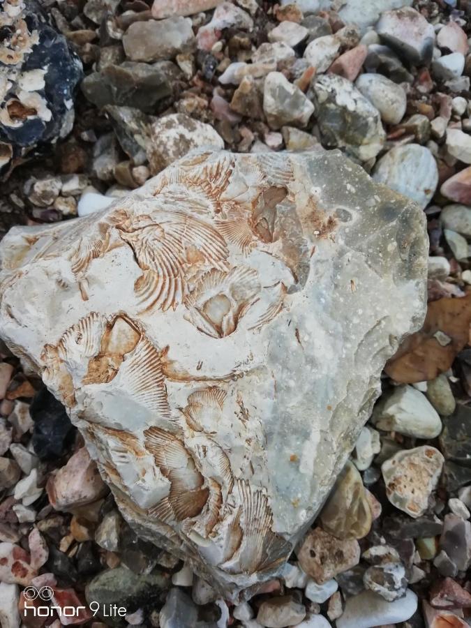 Villa Biancofiore Σαν Τζιοβάνι Ροτόντο Εξωτερικό φωτογραφία