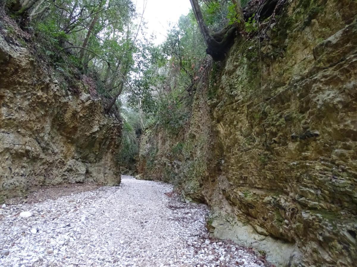Villa Biancofiore Σαν Τζιοβάνι Ροτόντο Εξωτερικό φωτογραφία