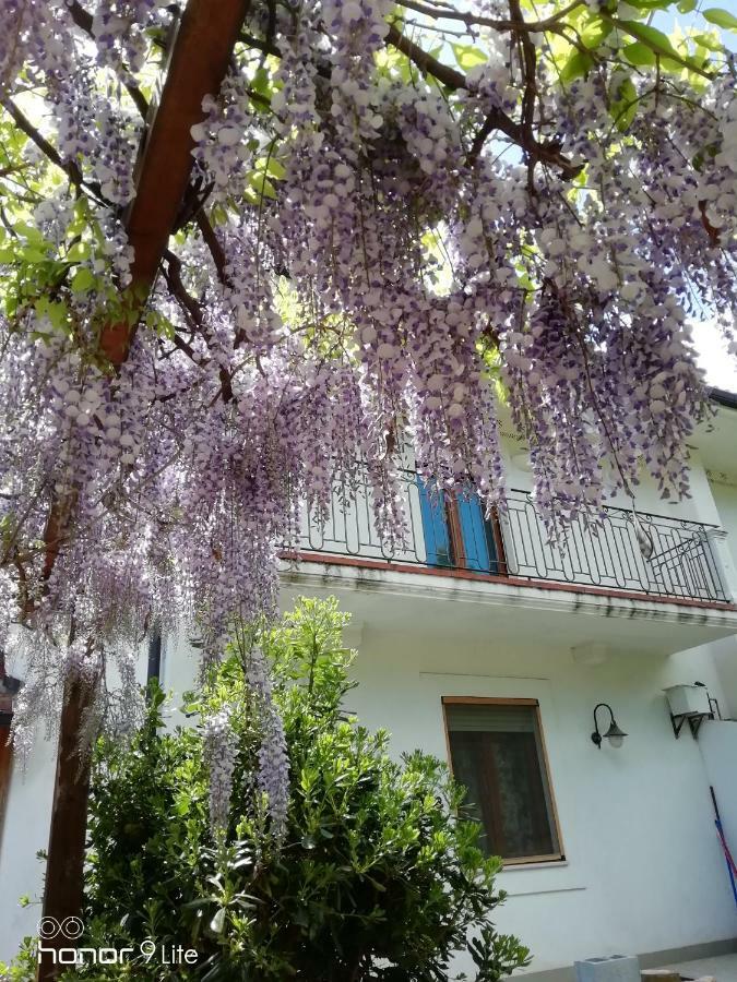 Villa Biancofiore Σαν Τζιοβάνι Ροτόντο Εξωτερικό φωτογραφία