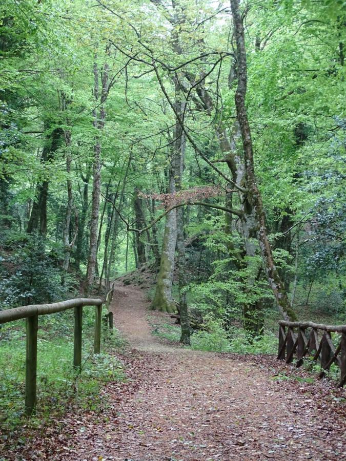 Villa Biancofiore Σαν Τζιοβάνι Ροτόντο Εξωτερικό φωτογραφία